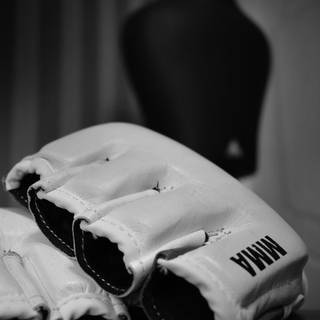 Martial arts iPhone wallpaper