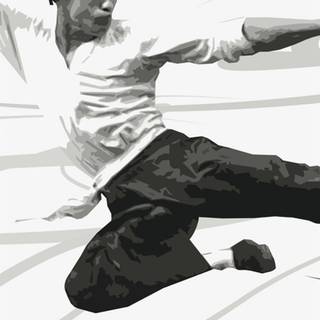 Martial arts iPhone wallpaper