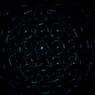 4k neon dark wallpaper