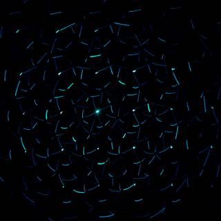 4k neon dark wallpaper