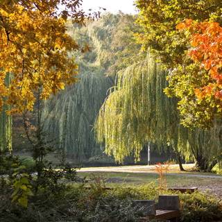 Hungary 4k wallpaper