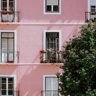 Pink phone 4k wallpaper