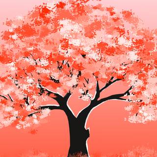 Cherry Blossom 4k PC wallpaper