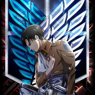 Levi phone 4k wallpaper