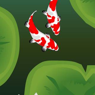Koi phone wallpaper