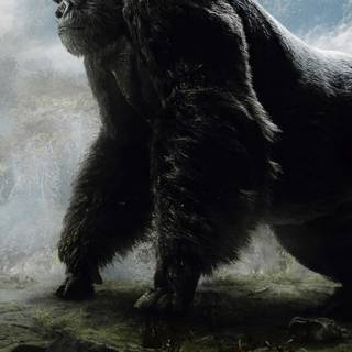 King Kong phone wallpaper