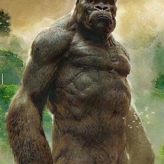 King Kong phone wallpaper