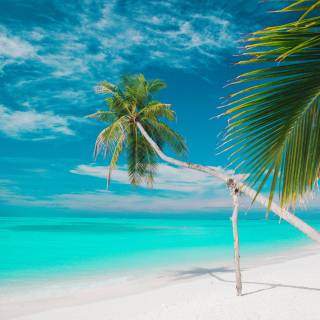 iPhone 7 beach wallpaper