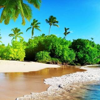 iPhone 7 beach wallpaper