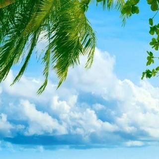 iPhone 7 beach wallpaper