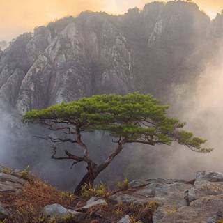 South Korea iPhone wallpaper