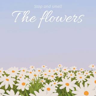 Aesthetic quotes phone wallpaper