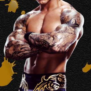 Randy Orton iPhone wallpaper