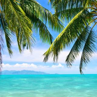 iPhone 7 beach wallpaper