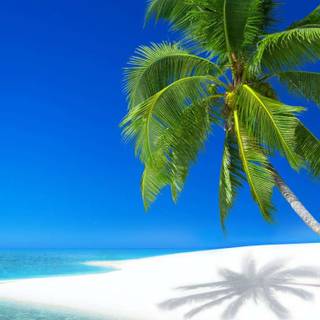 iPhone 7 beach wallpaper