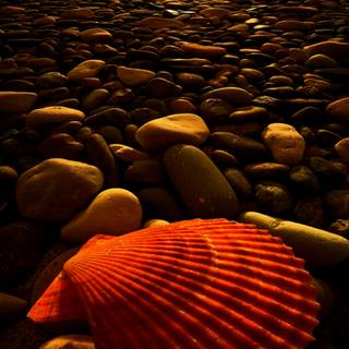 iPhone 7 beach wallpaper