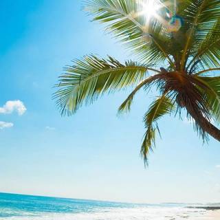 iPhone 7 beach wallpaper