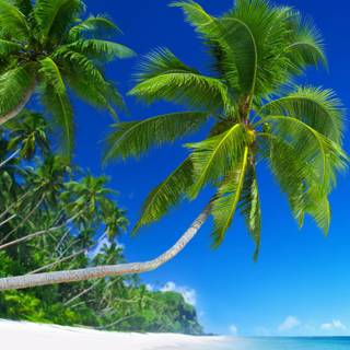 iPhone 7 beach wallpaper