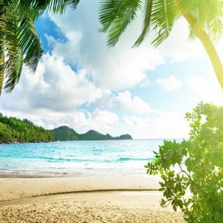 iPhone 7 beach wallpaper