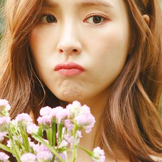 South Korea iPhone wallpaper