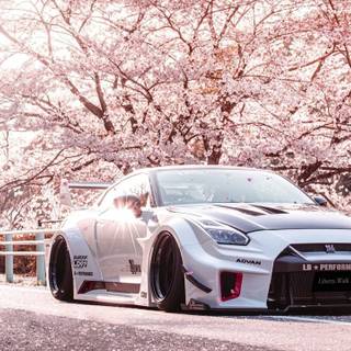 R35 Pink wallpaper