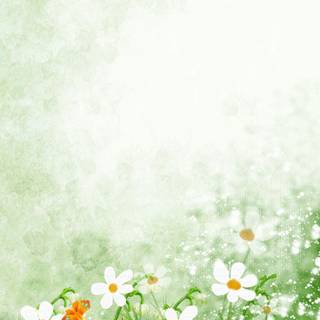 Spring festival flower wallpaper