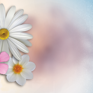 Spring festival flower wallpaper