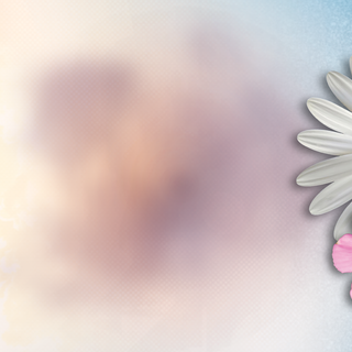 Spring festival flower wallpaper