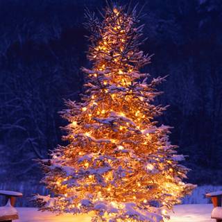 Christmas winter 4k wallpaper