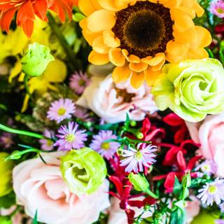 Spring festival flower wallpaper