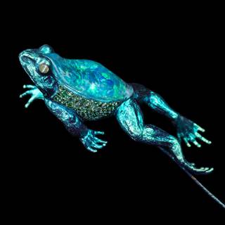 Wallace's flying frog wallpaper