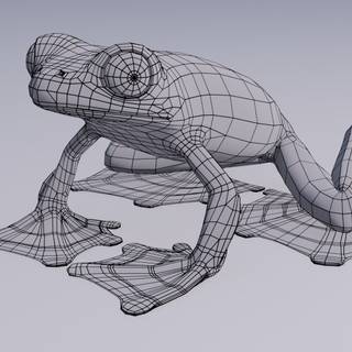 Wallace's flying frog wallpaper