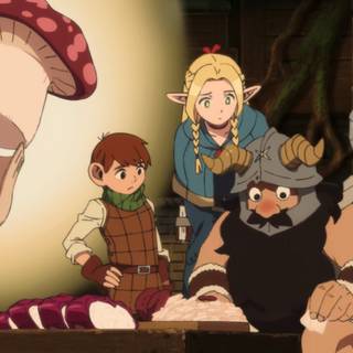 Delicious In Dungeon wallpaper