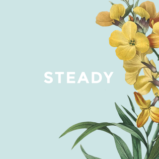 Steady wallpaper