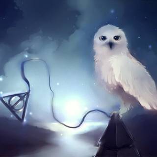 Harry Potter creatures wallpaper