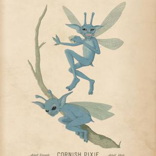 Harry Potter creatures wallpaper