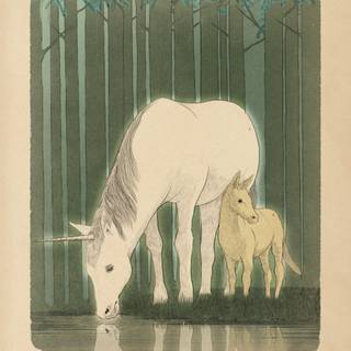 Harry Potter creatures wallpaper