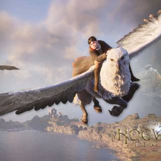 Harry Potter creatures wallpaper