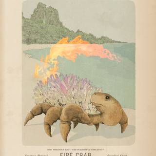 Harry Potter creatures wallpaper