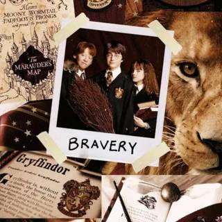 Harry Potter creatures wallpaper