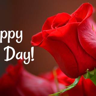 Happy Rose Day wallpaper
