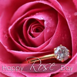 Happy Rose Day wallpaper