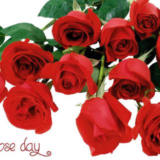 Happy Rose Day wallpaper