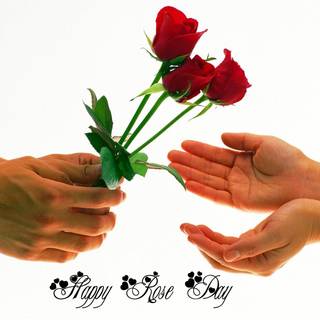 Happy Rose Day wallpaper