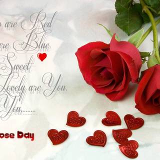 Happy Rose Day wallpaper