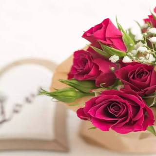 Happy Rose Day wallpaper