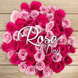 Happy Rose Day wallpaper
