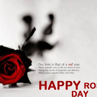 Happy Rose Day wallpaper