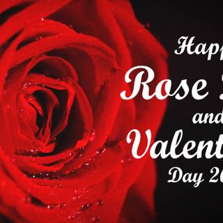 Happy Rose Day wallpaper
