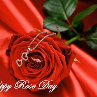 Happy Rose Day wallpaper